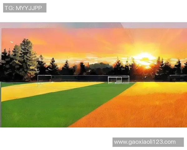 足球明星的荣耀与奋斗：他们如何改变了这项运动的未来